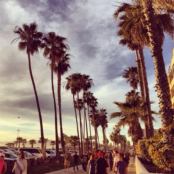Venice beach, palm trees, sky, instagram-pslilyboutique