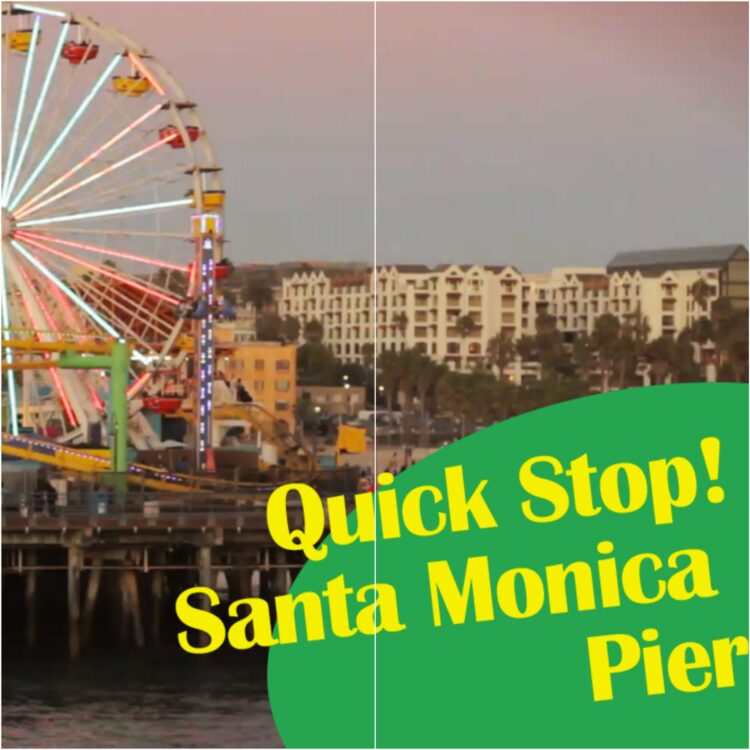 instagram-pslilyboutique-los-angeles-fashion-blogger-quick-stop-santa-monica-pier-california-09-03-2015