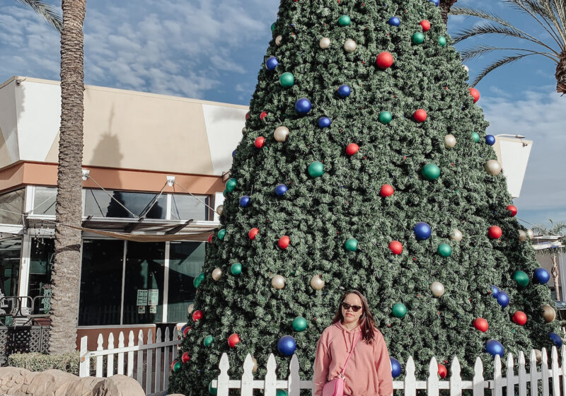 pslilyboutique-on-instagram-pinterest-fashion-black-spanx-ponte-leggings-christmas-decor-12-17-2020-IMG_9486, Instagram: @pslilyboutique, Pinterest, Los Angeles fashion blogger, top fashion blog, best fashion blog, fashion & personal style blog, travel blog, lifestyle blogger, travel blogger, LA fashion blogger, chicago based fashion blogger, fashion influencer, luxury fashion, luxury travel, luxury influencer, luxury lifestyle, lifestyle blog, los angeles