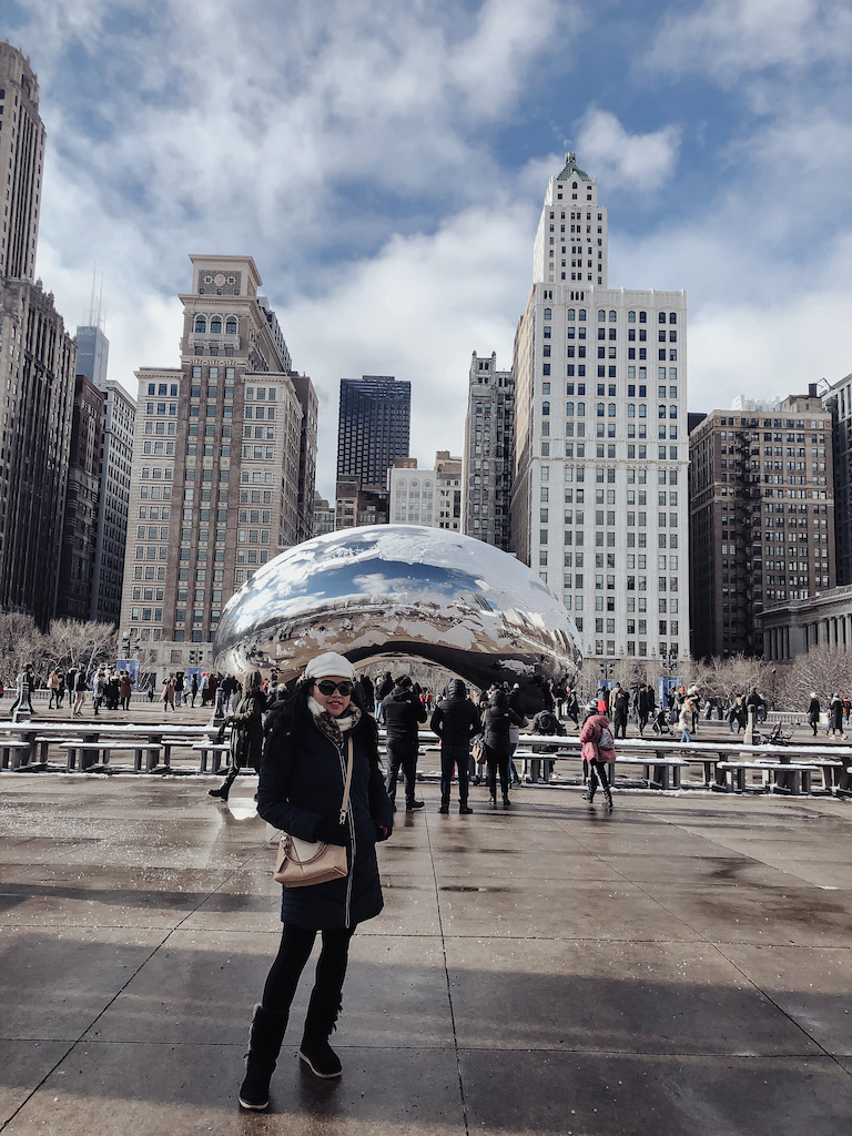 pslilyboutique-on-instagram-pinterest-tommy-hilfiger-navy-blue-puffer-coat-the-bean-chicago-downtown-skyline-pslilyboutique-winter-outfit-ideas-louis-vuitton-v-tote-pink-beige-bag-willis-tower-IMG_5540