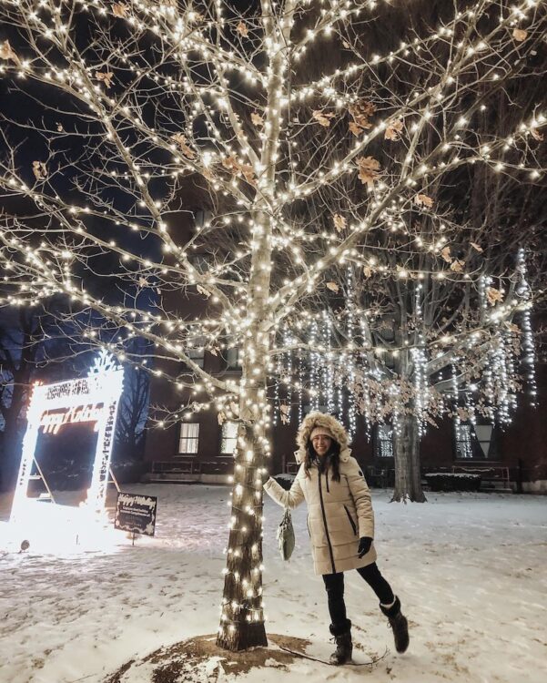 pslilyboutique-on-instagram-pinterest-noize-hannah-snow-fur-parka-coat-winter-2025-outfit-ideas-green-rafe-new-york-bag-runway-fashion-christmas-lights-IMG_0024