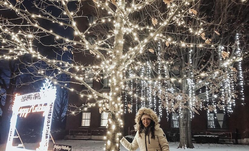 pslilyboutique-on-instagram-pinterest-noize-hannah-snow-fur-parka-coat-winter-2025-outfit-ideas-green-rafe-new-york-bag-runway-fashion-christmas-lights-IMG_0024