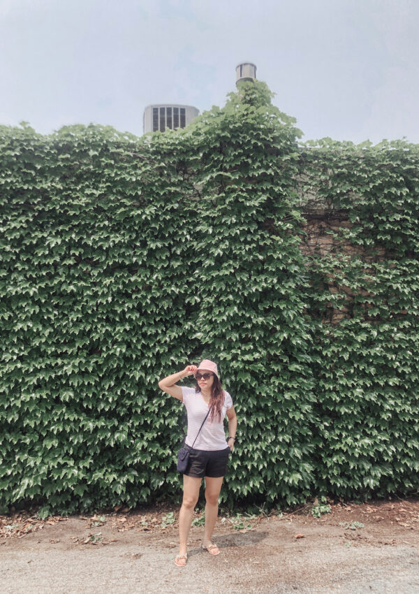 pslilyboutique-on-instagram-pinterest-va